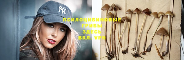 МДПВ Алексеевка