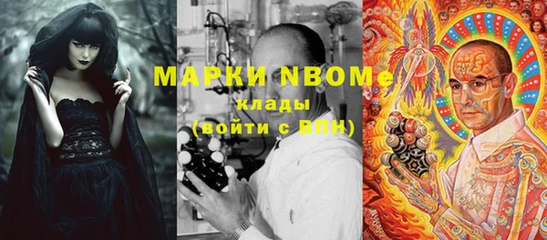 СК Алексин