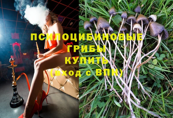 кокс Каменка