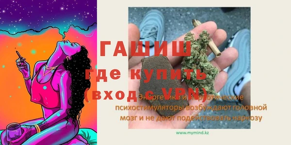 СК Алексин