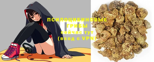 spice Каменногорск