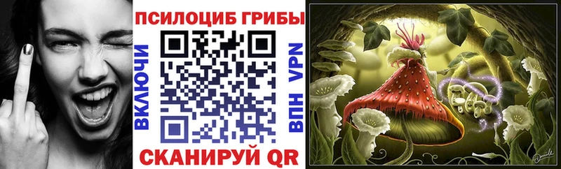 Псилоцибиновые грибы прущие грибы  как найти наркотики  Кизел 